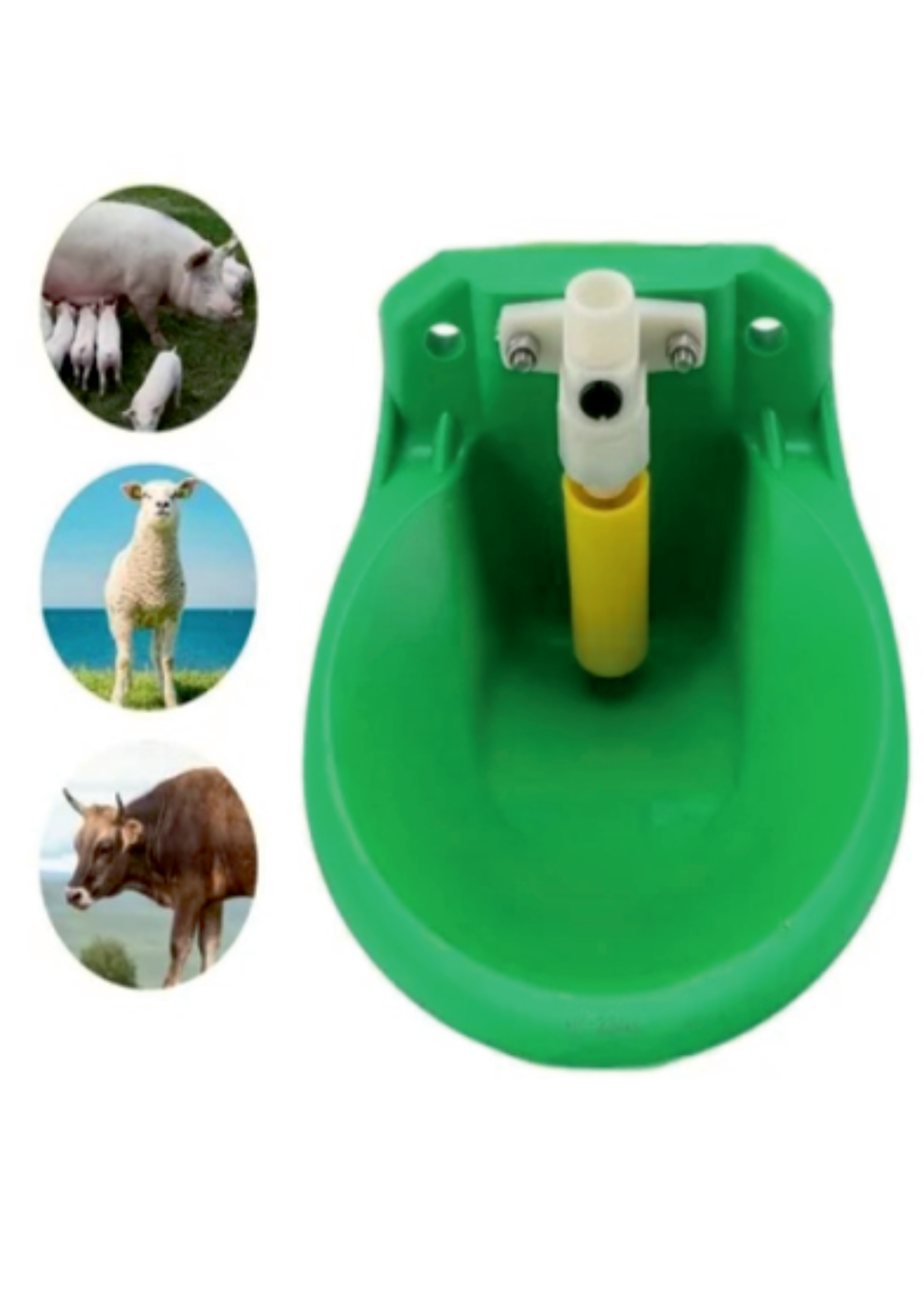 SS Drinking Bowl for Goat/Sheep